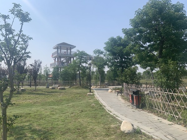 蚌埠市天公河及席家沟部分岸线环境综合治理工程（天河张公湖连通工程）施工Ⅱ标 (1).jpg