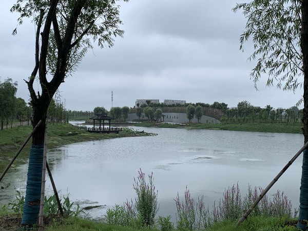 蚌埠市天公河及席家沟部分岸线环境综合治理工程（天河张公湖连通工程）施工Ⅱ标 (3).jpg